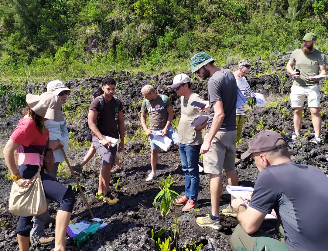 Image formation CBNM