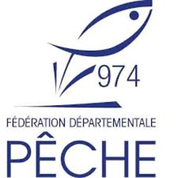 Allée de graviers au milieu d'une végétation tropicale luxuriante dans un arboretum conservatoire à La Réunion, illustrant le lieu de mise en collection ex situ d'espèces végétales menacées (Projet VIA DAUPI)