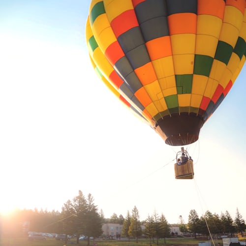 Image formation AFPCNT